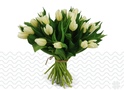witte-tulpen-online-bestellen