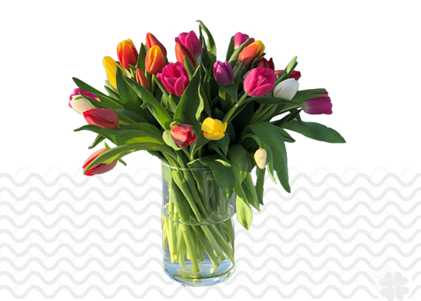 Bestel-Tulpen-vaas-Tilburg
