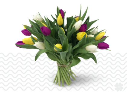 Bezorgen-bestellen tulpen-Eindhoven